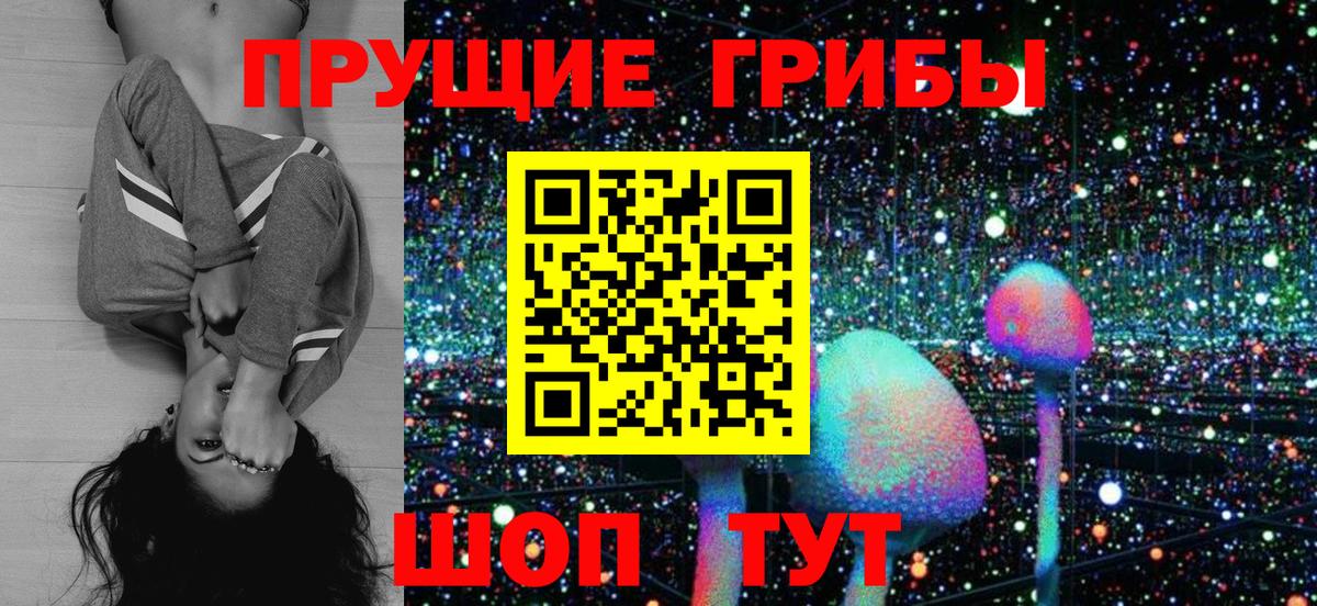 Псилоцибиновые грибы прущие грибы Кизилюрт