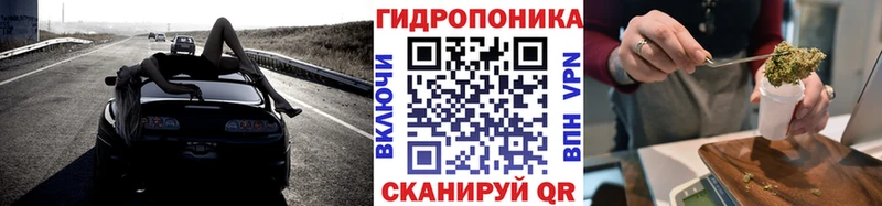 Каннабис гибрид  Кизилюрт 
